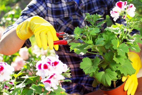 Garden safety inspection before maintenance work