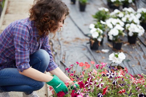 Gardening service terms and conditions introduction