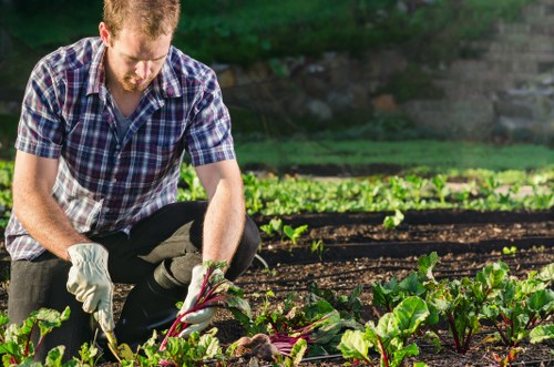 Trusted Gardeners Norbury caring for a well-kept outdoor space
