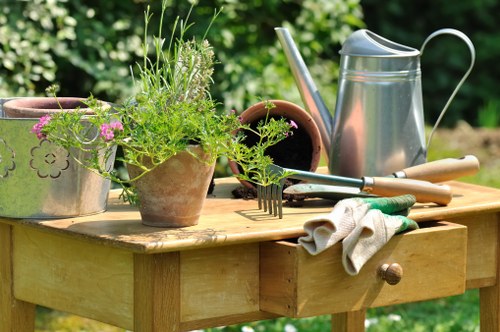 Professional Norbury gardeners improving residential outdoor areas