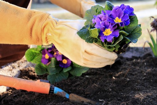 Professional gardeners in Norbury maintaining a healthy garden