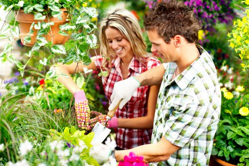 Written complaint notes and service records for a garden job