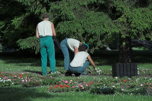 Local Norbury gardeners working on seasonal plant care