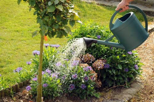 Gardeners Norbury trimming hedges and shaping outdoor spaces