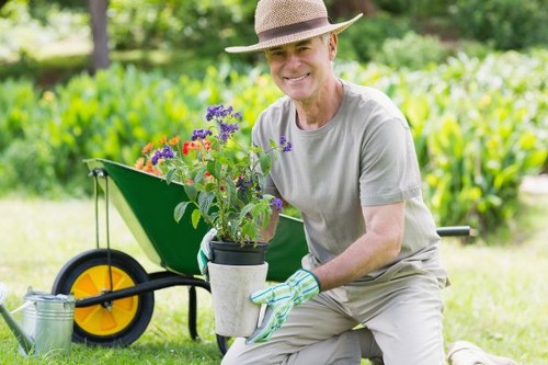 Regular mowing and lawn feeding for Norbury grass