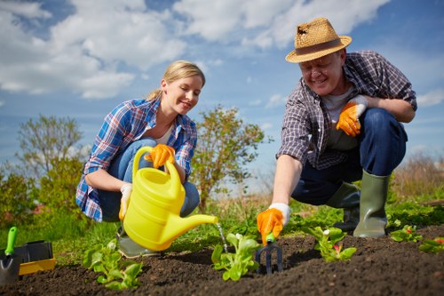 Professional garden maintenance in Norbury with lawns and borders