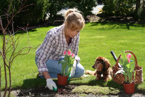 Free quote policy for local garden services in Norbury