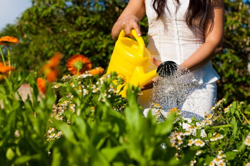 Garden edging and lawn mowing finish in Norbury