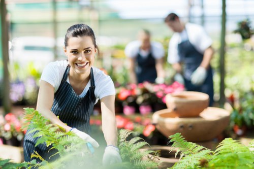 Local garden maintenance in Norbury including lawn care and pruning