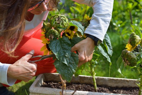 Payment and invoicing terms for gardeners